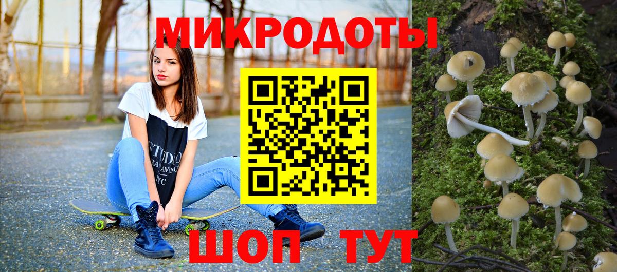 Псилоцибиновые грибы мухоморы Домодедово